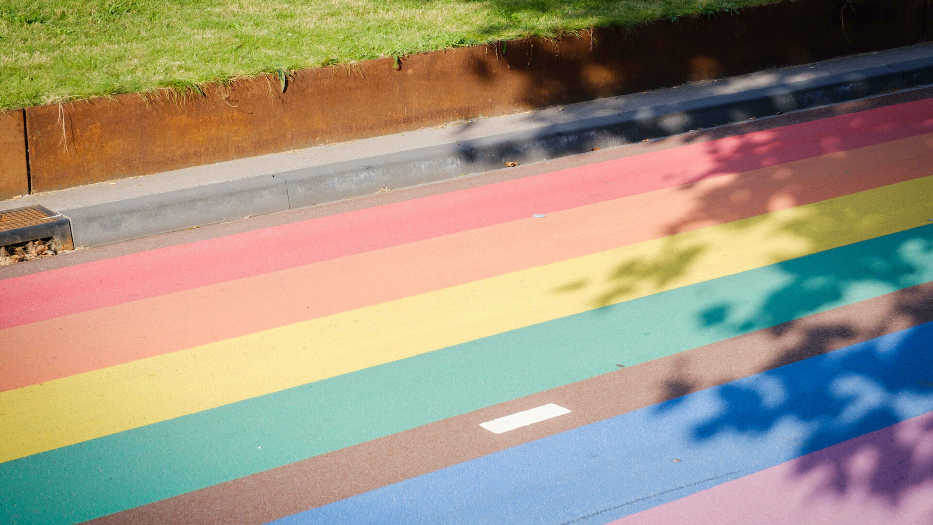 Regenboog zebra pad